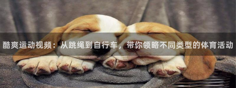 3377体育靠谱吗：酷爽运动视频：从跳绳到自行车，带你领略不同类型的体育活动