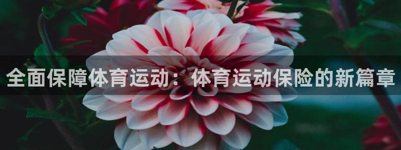 3377体育手机平台：全面保障体育运动：体育运动保险的新篇章
