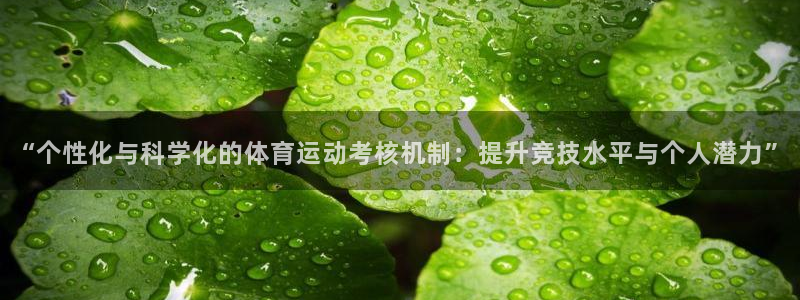 3377体育中国官方网站入口：“个性化与科学化的体育运动考核机制：提升竞技水平与个人潜力”