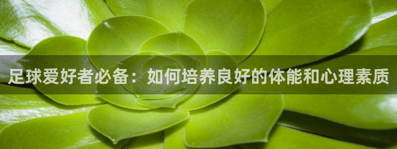 3377体育：足球爱好者必备：如何培养良好的体能和心理素质