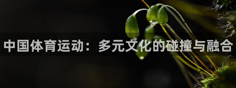 3377体育app官网下载地址：中国体育运动：多元文化的碰撞与融合