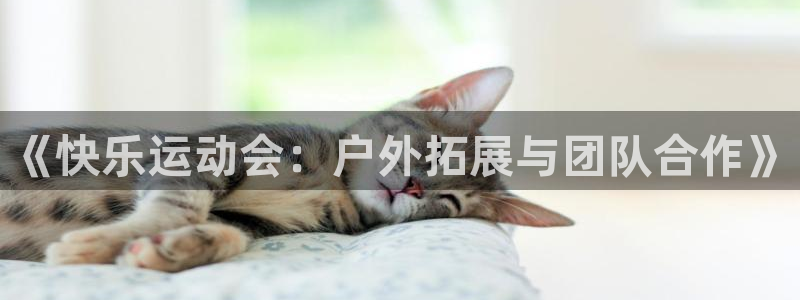 3377体育靠谱吗：《快乐运动会：户外拓展与团队合作》