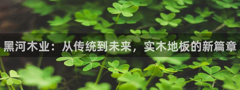3377体育平台：黑河木业：从传统到未来，实木地板的新篇章