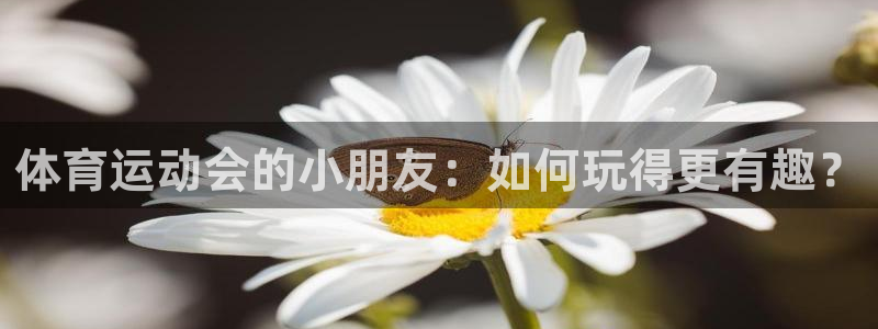 3377体育官网下载
