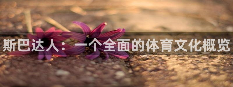 3377体育官网：斯巴达人：一个全面的体育文化概览