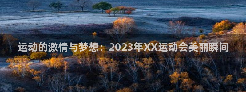 3377体育全网：运动的激情与梦想：2023年XX运动会美丽瞬间