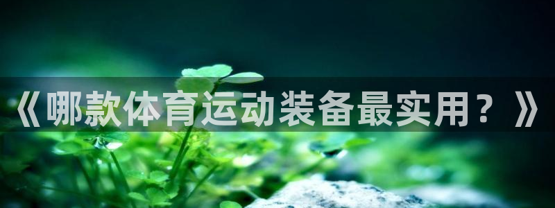 3377体育(中国)官方网站：《哪款体育运动装备最实用？》