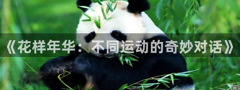 3377体育com：《花样年华：不同运动的奇妙对话》