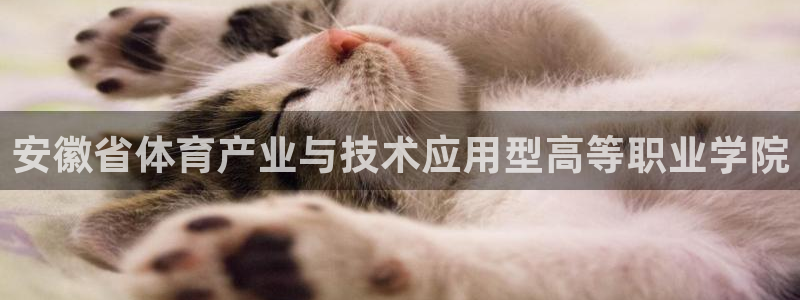 3377体育官网下载：安徽省体育产业与技术应用型高等职业学院