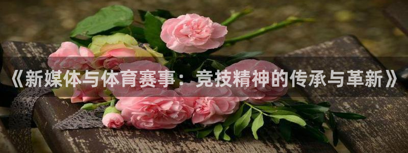3377体育是正规平台吗：《新媒体与体育赛事：竞技精神的传承与革新》