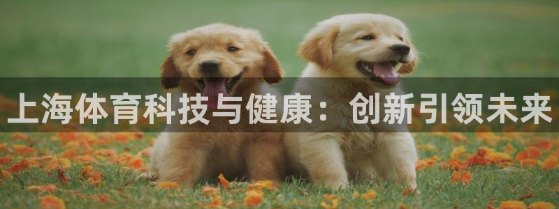 3377体育是正规平台吗：上海体育科技与健康：创新引领未来