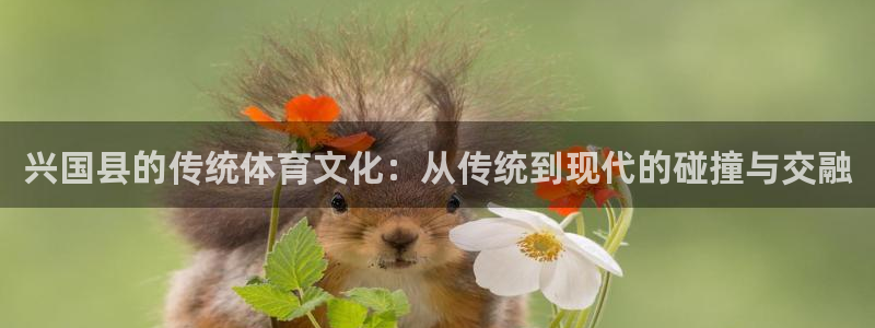 3377体育手机平台：兴国县的传统体育文化：从传统到现代的碰撞与交融